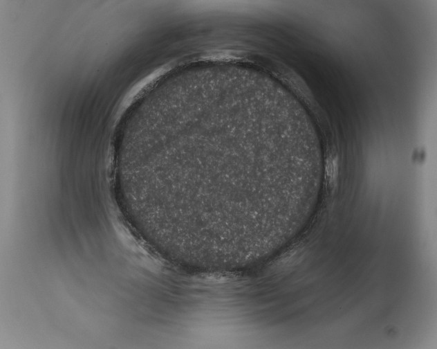 X0000112110724200909151223