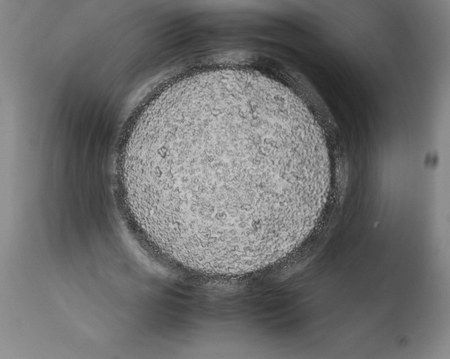 X0000112110725200909151223