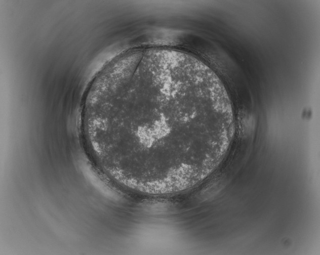 X0000112110726200909151223