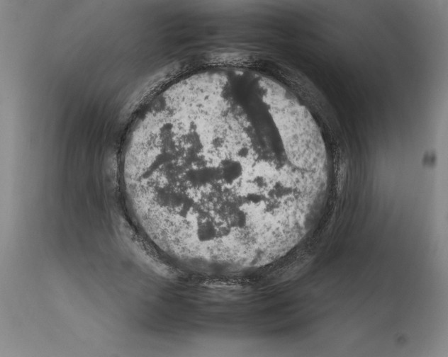 X0000112110729200909151224