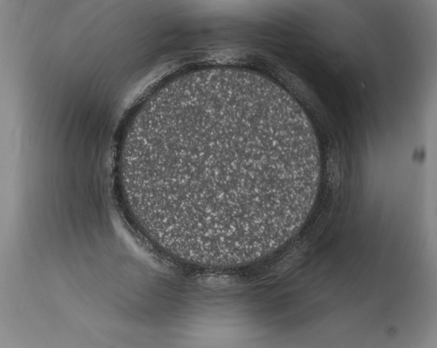 X0000112110730200909151224