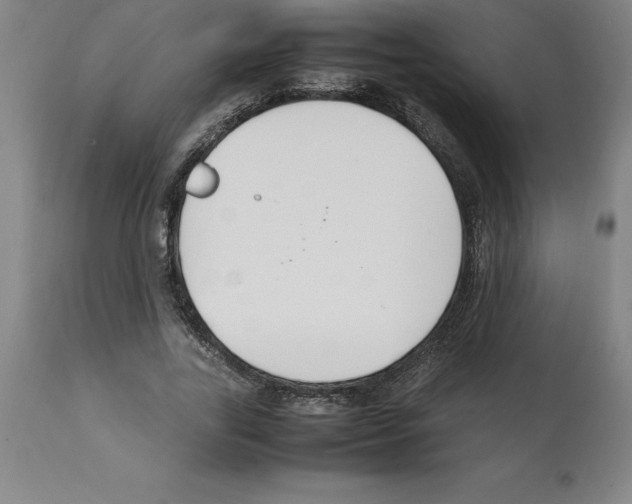 X0000112110731200909151224