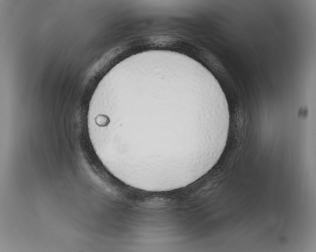 X0000112110734200909151224