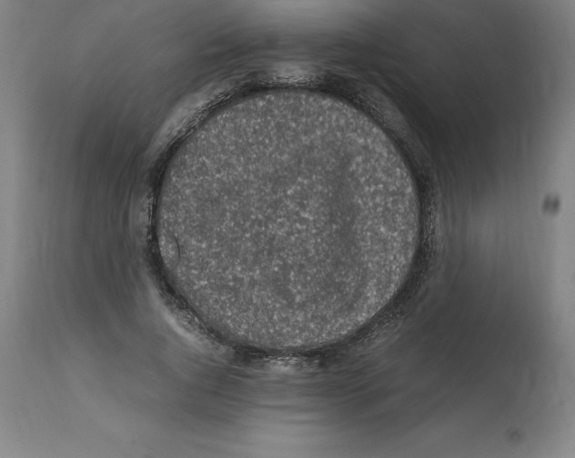X0000112110736200909151224