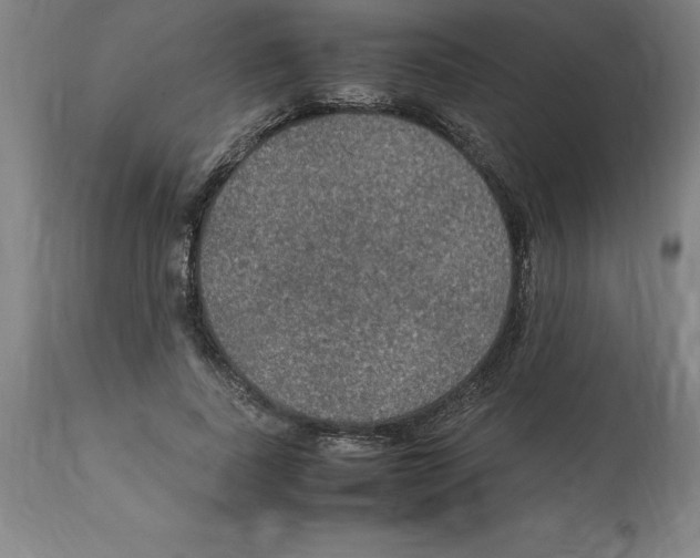 X0000112110739200909151224
