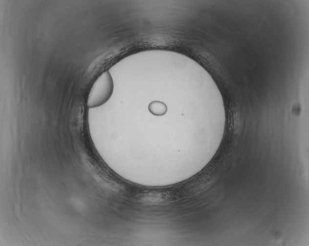 X0000112110740200909151224