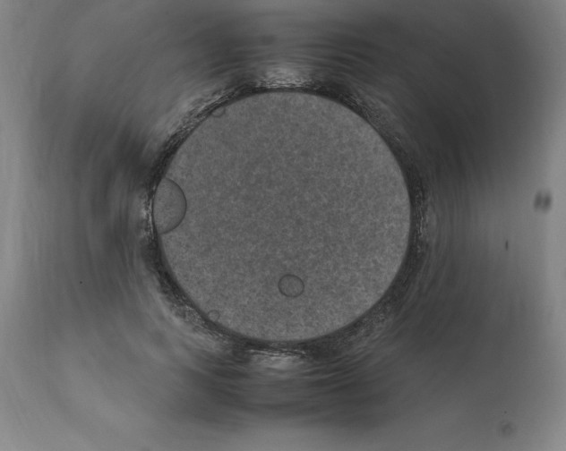 X0000112110743200909151224