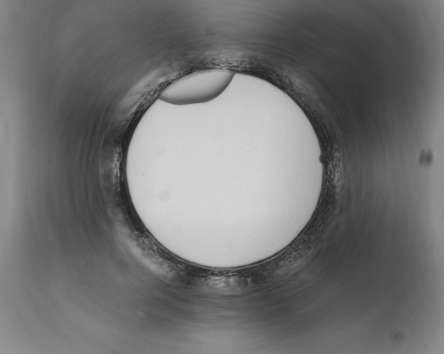 X0000112110744200909151224
