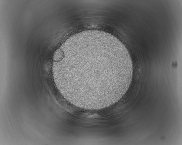 X0000112110747200909151224