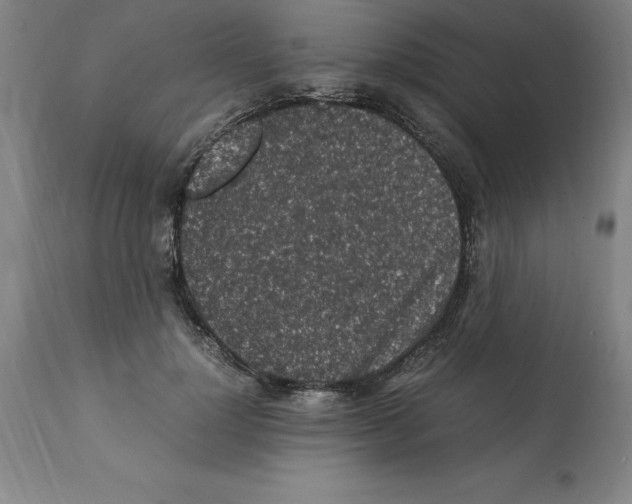 X0000112110748200909151224