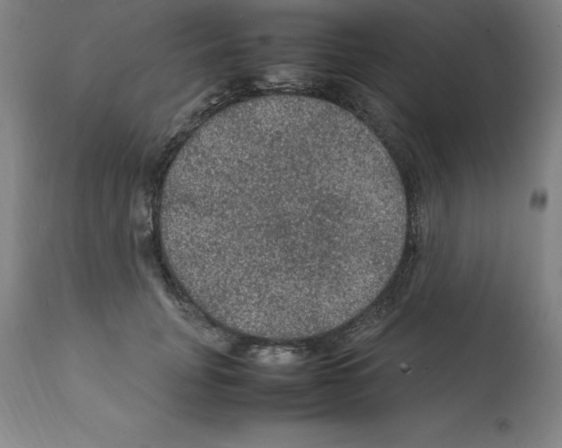 X0000112110751200909151224