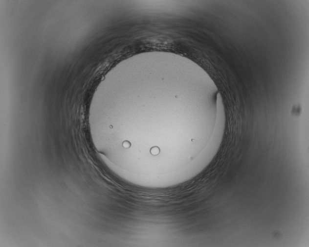 X0000112110752200909151224
