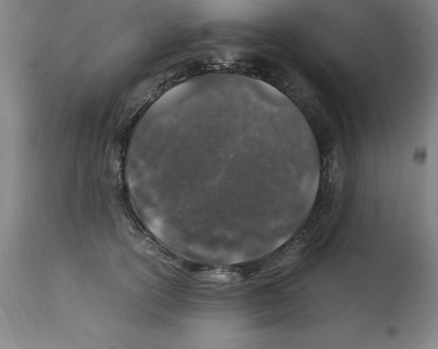 X0000112110754200909151224