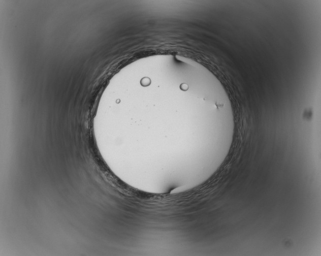 X0000112110756200909151224