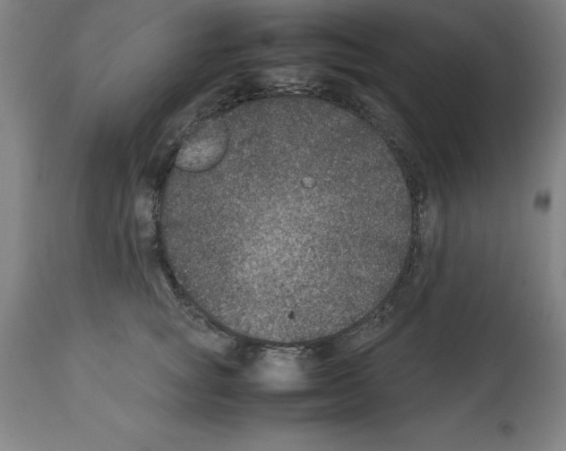 X0000112110757200909151224