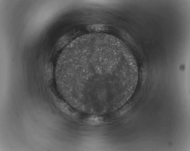 X0000112110760200909151224
