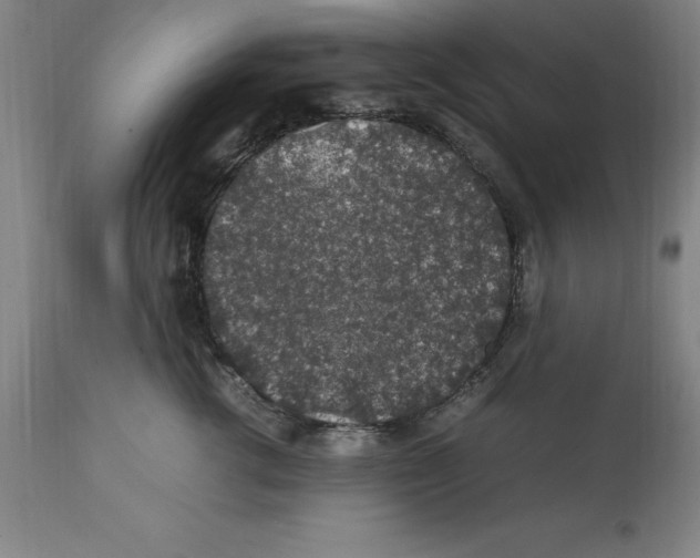 X0000112110762200909151224