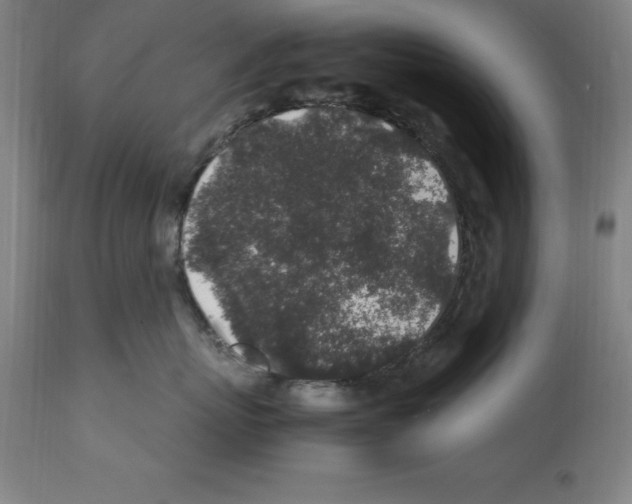 X0000112110767200909151224