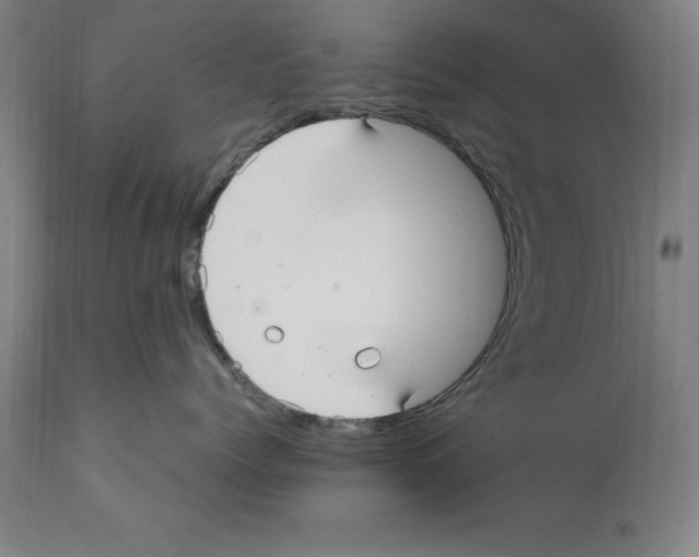 X0000112110768200909151224