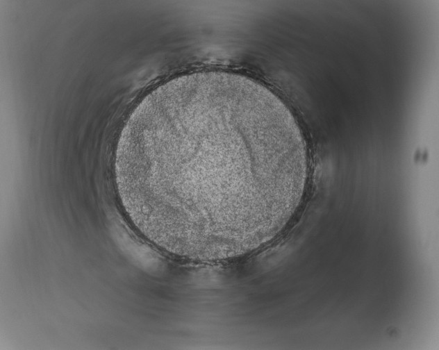 X0000112110769200909151223