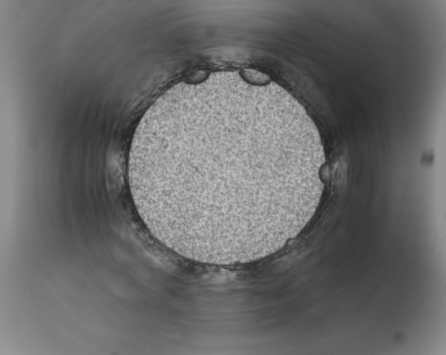X0000112110772200909151223