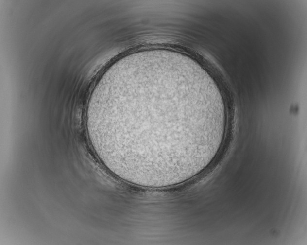 X0000112110777200909151223