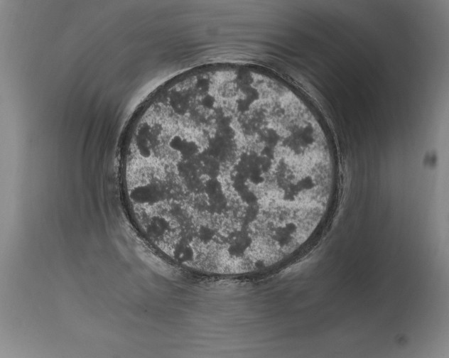X0000112110779200909151223