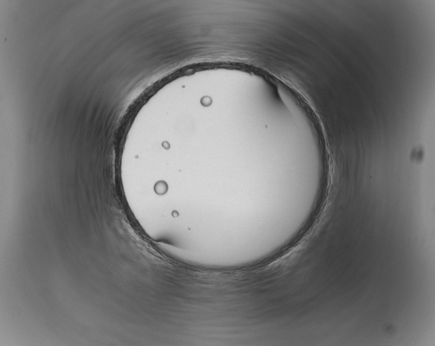 X0000112110781200909151223