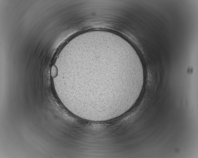 X0000112110782200909151223