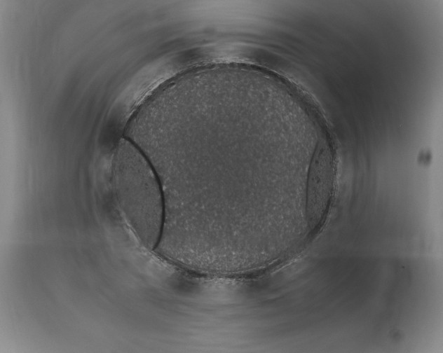 X0000112110785200909151223