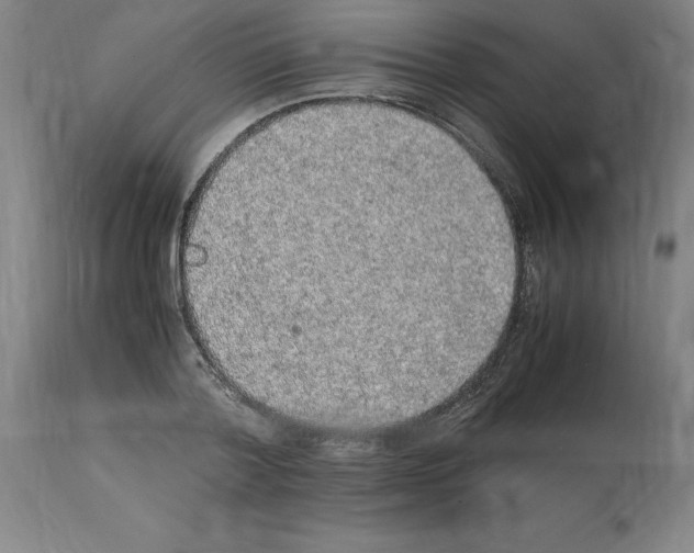 X0000112110788200909151223