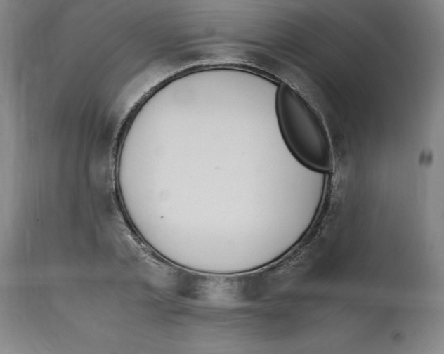 X0000112110789200909151223