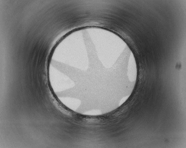 X0000112110792200909151223