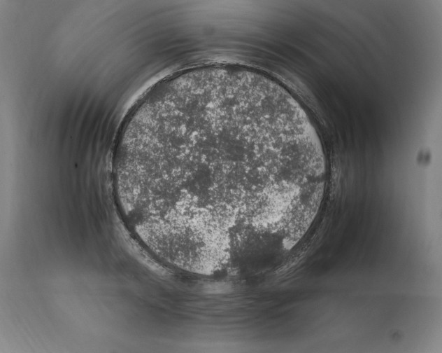 X0000112110798200909151223