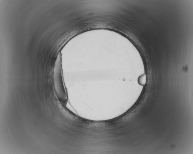 X0000112110801200909151223