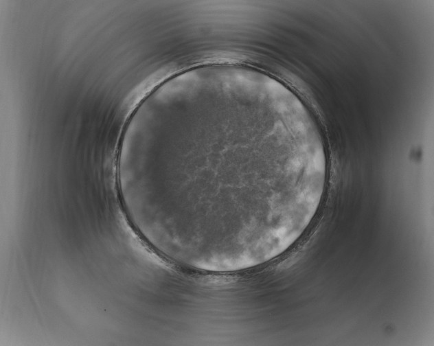 X0000112110802200909151223
