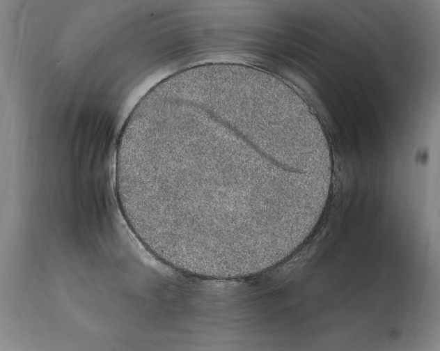X0000112110804200909151223