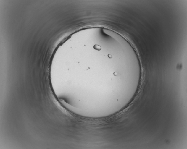 X0000112110805200909151223