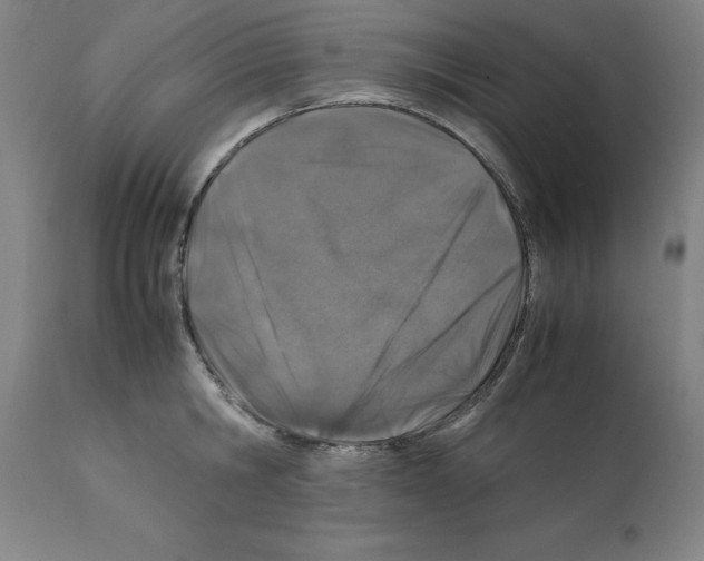 X0000112110806200909151223