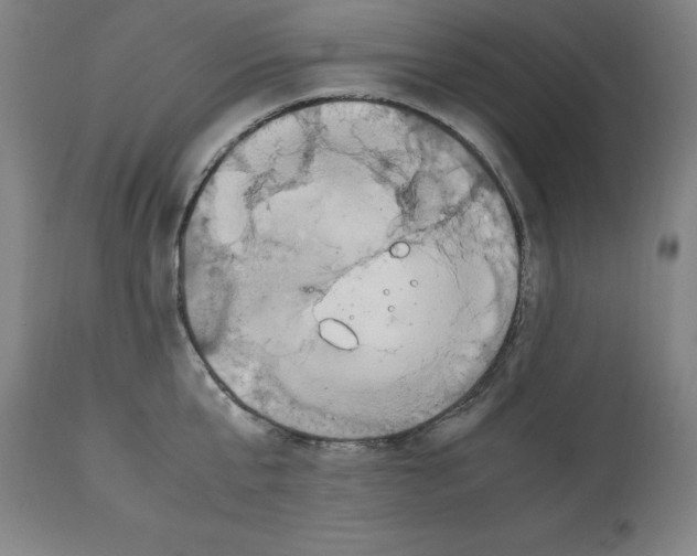 X0000112110807200909151223