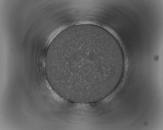 X0000112110809200909151223