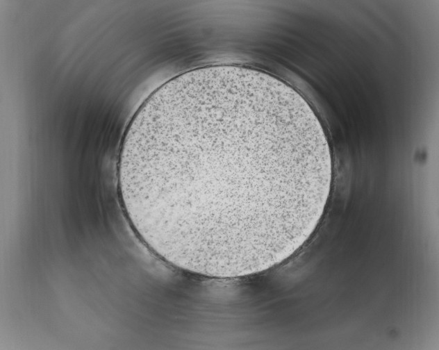 X0000112110810200909151223
