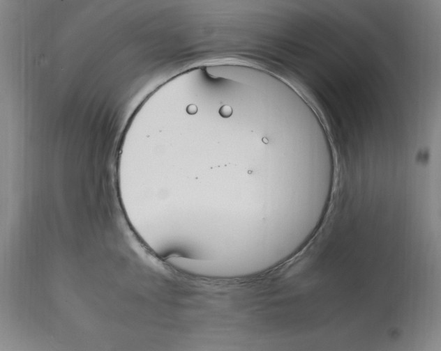 X0000112110813200909151223