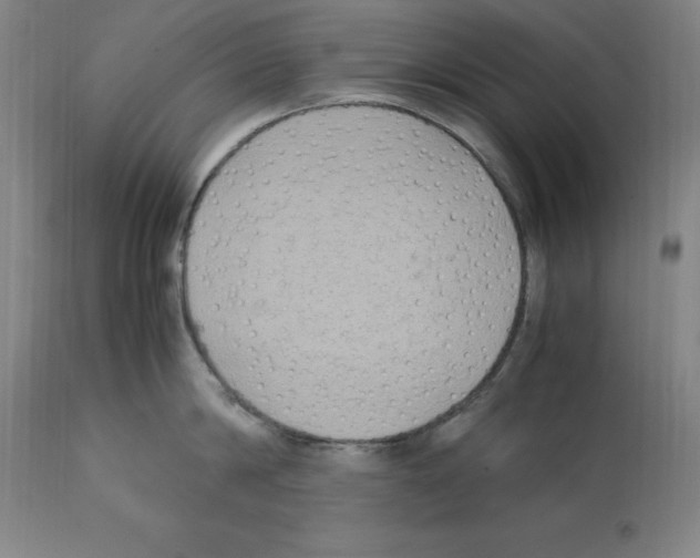 X0000112110814200909151223