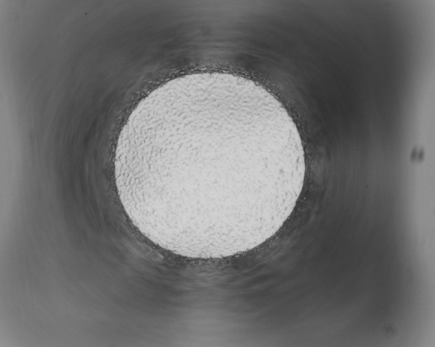 X0000112110817200909151222