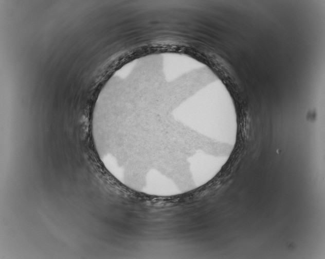 X0000112110821200909151222