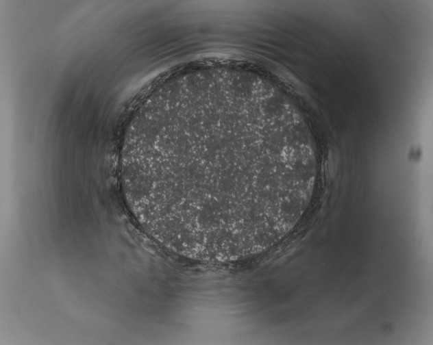 X0000112110822200909151222