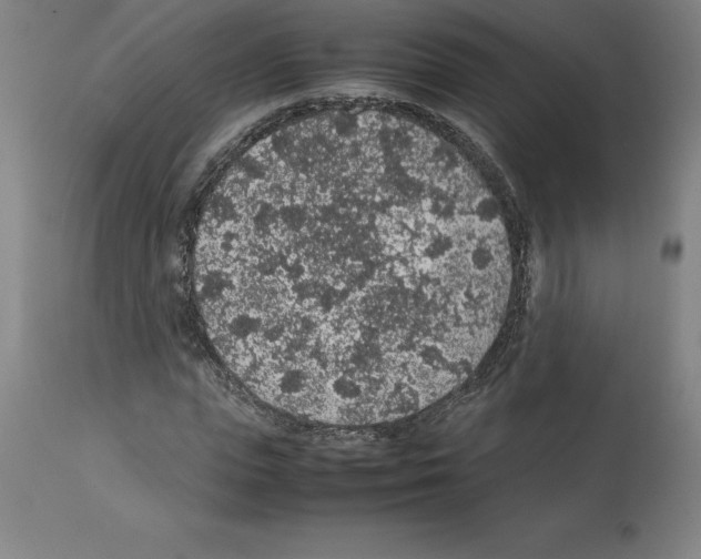 X0000112110823200909151222