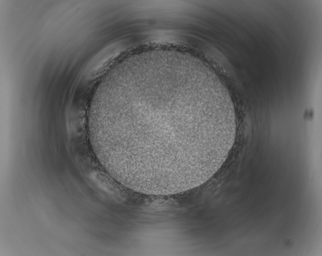 X0000112110824200909151222