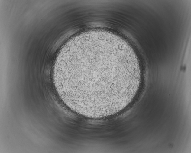 X0000112110825200909151222